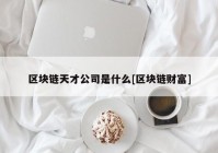 区块链天才公司是什么[区块链财富]